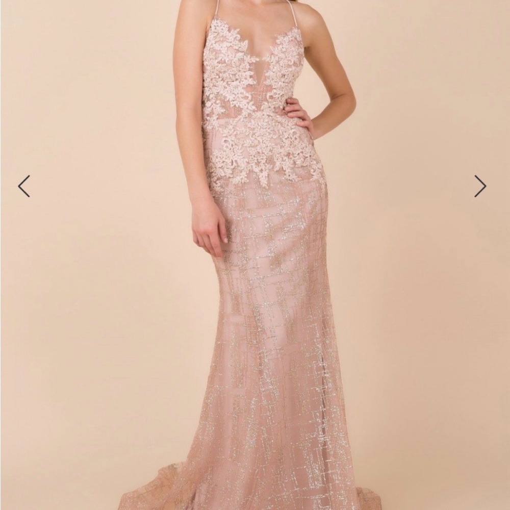 Elegant Lace Evening Gown in Blush